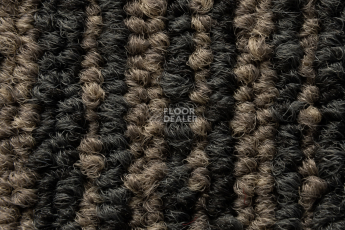 AW Mambo 49 фото 4 | FLOORDEALER